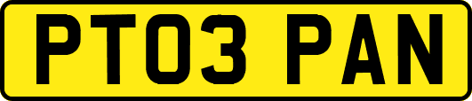 PT03PAN
