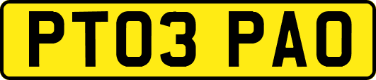 PT03PAO