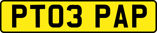 PT03PAP
