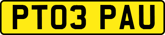 PT03PAU