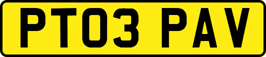 PT03PAV