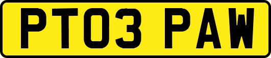 PT03PAW