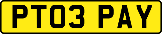 PT03PAY