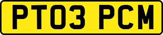 PT03PCM