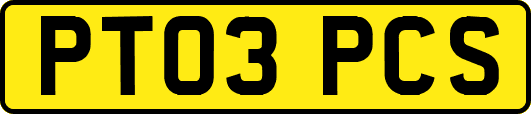 PT03PCS
