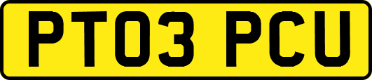 PT03PCU