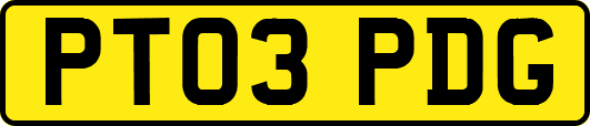 PT03PDG