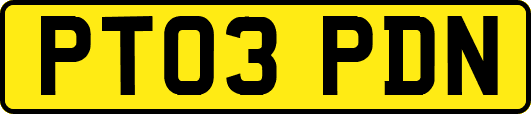 PT03PDN