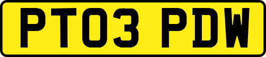 PT03PDW