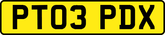 PT03PDX