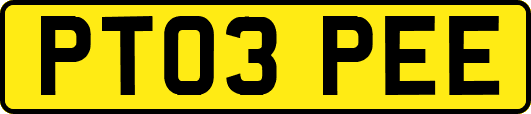 PT03PEE