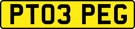 PT03PEG