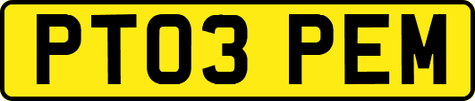 PT03PEM