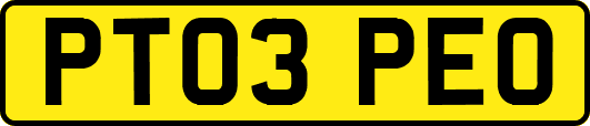 PT03PEO