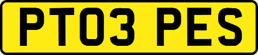 PT03PES