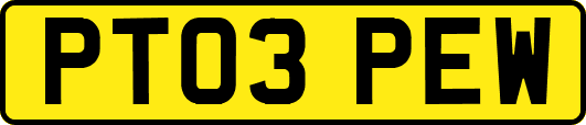 PT03PEW