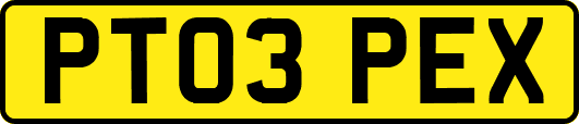 PT03PEX