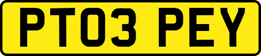 PT03PEY