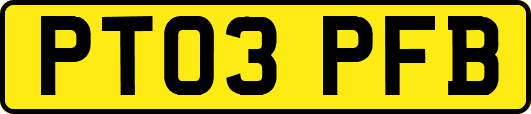 PT03PFB