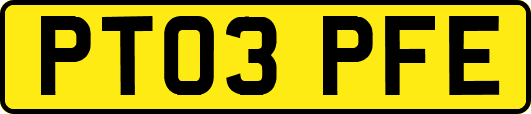 PT03PFE