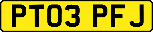 PT03PFJ