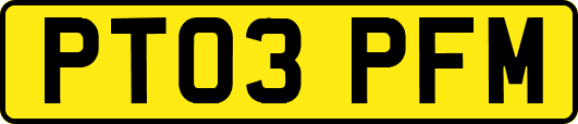PT03PFM