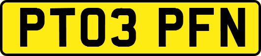 PT03PFN