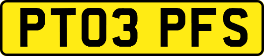 PT03PFS