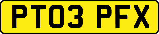 PT03PFX