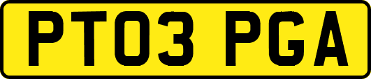 PT03PGA