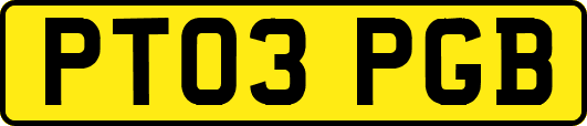 PT03PGB