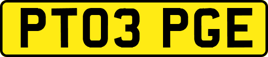 PT03PGE