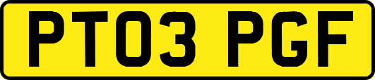 PT03PGF
