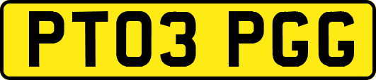 PT03PGG
