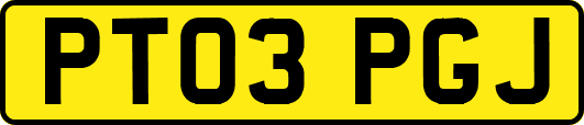 PT03PGJ
