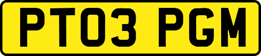 PT03PGM