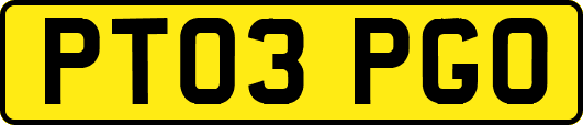 PT03PGO