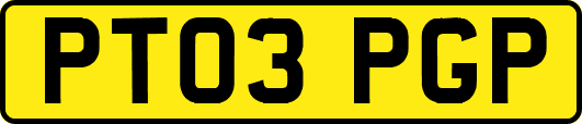 PT03PGP