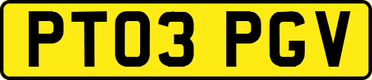 PT03PGV