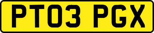 PT03PGX