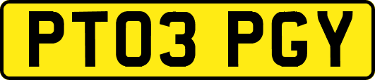 PT03PGY