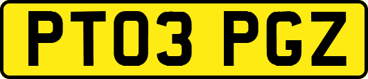 PT03PGZ