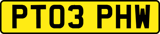 PT03PHW