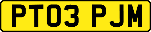 PT03PJM