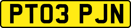 PT03PJN