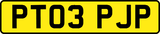 PT03PJP