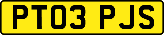 PT03PJS