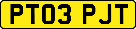 PT03PJT