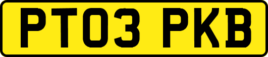 PT03PKB