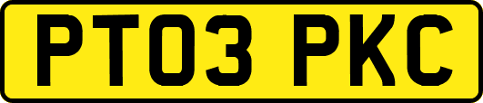 PT03PKC